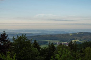 Baharda Bavyera 'da bir orman. Her şey çiçek açar ve yeni bir hayata uyanır 