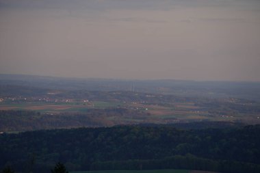 Baharda Bavyera 'da bir orman. Her şey çiçek açar ve yeni bir hayata uyanır 