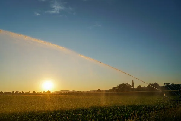 Irrigation Prolonged Drought Necessary Field Garden — Stockfoto