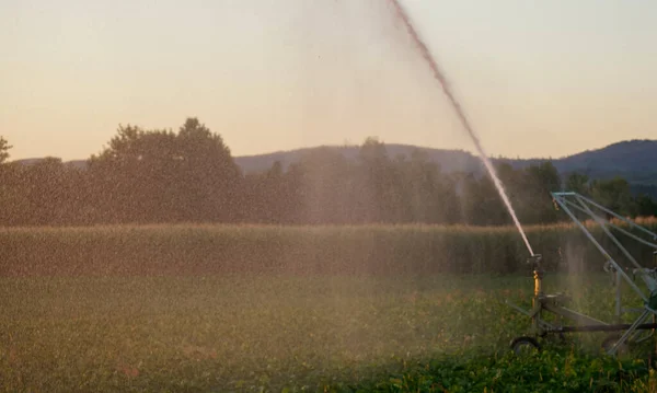 Irrigation Prolonged Drought Necessary Field Garden — Photo