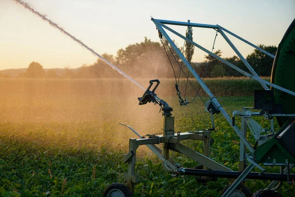 Irrigatie Langdurige Droogte Noodzakelijk Voor Veld Tuin — Stockfoto