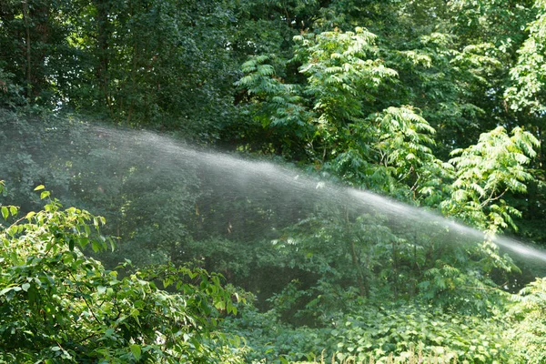 Irrigation Prolonged Drought Necessary Field Garden — Stok Foto