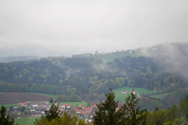 Wald Bayern Frühling Alles Erblüht Und Erwacht Neuem Leben — Stockfoto