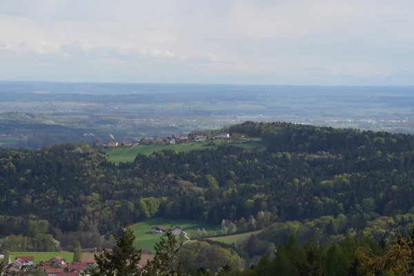 Wald Bayern Frühling Alles Erblüht Und Erwacht Neuem Leben — Stockfoto
