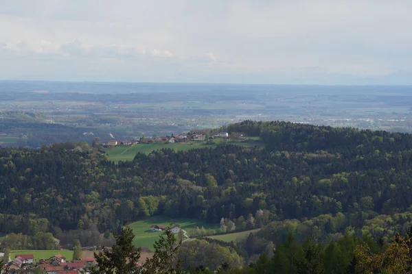 Forest Bavaria Spring Everything Blooms Awakens New Life — Φωτογραφία Αρχείου