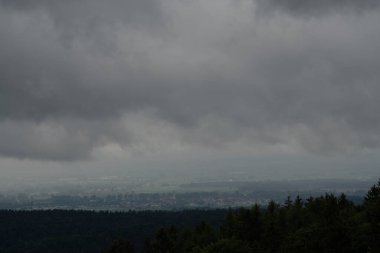 Baharda Bavyera 'da bir orman. Her şey çiçek açar ve yeni bir hayata uyanır 