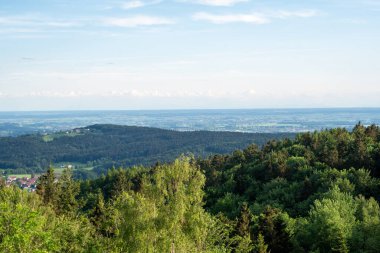 Alman Bavyerası 'ndaki orman baharda yemyeşil olur.