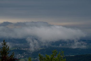 Alman Bavyerası 'ndaki orman baharda yemyeşil olur.