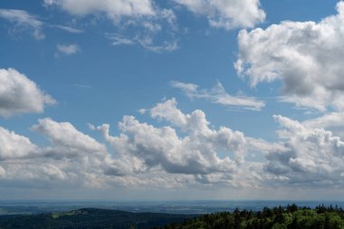 Alman Bavyerası 'ndaki orman baharda yemyeşil olur.