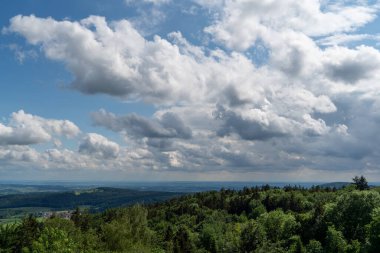 Alman Bavyerası 'ndaki orman baharda yemyeşil olur.