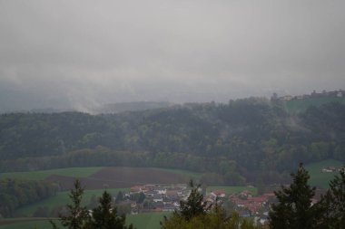 Alman Bavyerası 'ndaki orman baharda yemyeşil olur.