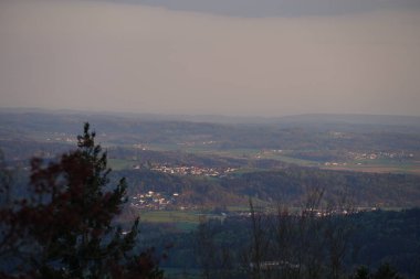 Alman Bavyerası 'ndaki orman baharda yemyeşil olur.