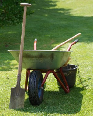 Bahçe ve bahçıvanlık yazın hobi olarak.