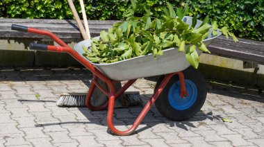 Bahçe ve bahçıvanlık yazın hobi olarak.