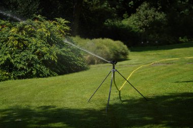 Bahçe ve bahçıvanlık yazın hobi olarak.