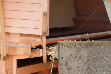 Eski geleneksel ekipmanlarla tahıl hasat ve işleme