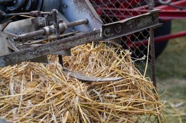Eski geleneksel ekipmanlarla tahıl hasat ve işleme