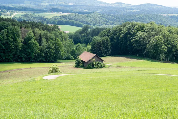 Bayerischer Wald Frühling Sattem Grün — Stockfoto