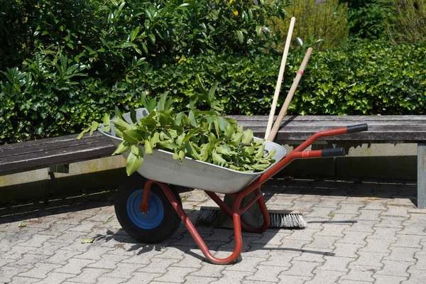 Garden Gardening Hobby Summer — Stok Foto