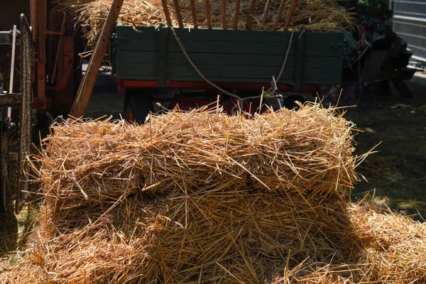 Grain Harvest Processing Old Traditional Equipment — Zdjęcie stockowe