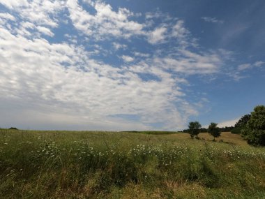 Yeşil çimen ve mavi gökyüzü olan güzel bir manzara.