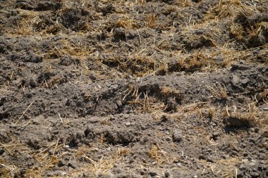 climate change lead to dryness and drought at high temperatures 