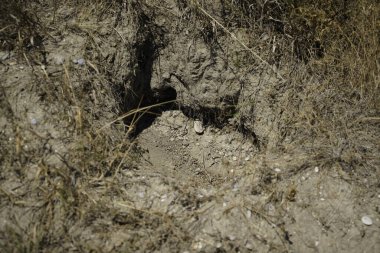 climate change lead to dryness and drought at high temperatures 