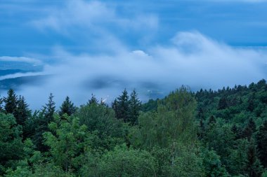 Bavyera Ormanı 'ndaki manzara fotoğrafları büyüleyici bulutlar ve mavi gökyüzü.