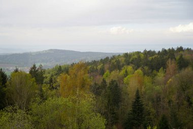 Bavyera Ormanı 'ndaki manzara fotoğrafları büyüleyici bulutlar ve mavi gökyüzü.