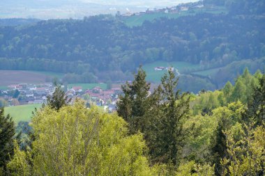 Bavyera Ormanı 'ndaki manzara fotoğrafları büyüleyici bulutlar ve mavi gökyüzü.