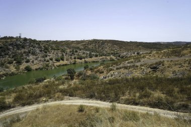 Depleted acidic soils without nutrients in agriculture lead to stunted growth and misery