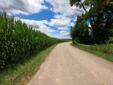 Kırsalda yol