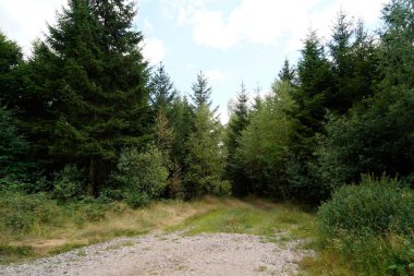 Dağ yolu olan güzel bir manzara