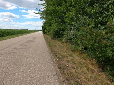 Sabah kırsalda yol yeşil çimlerle kaplı.