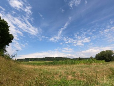Ağaçlarla ve mavi gökyüzüyle güzel bir manzara.