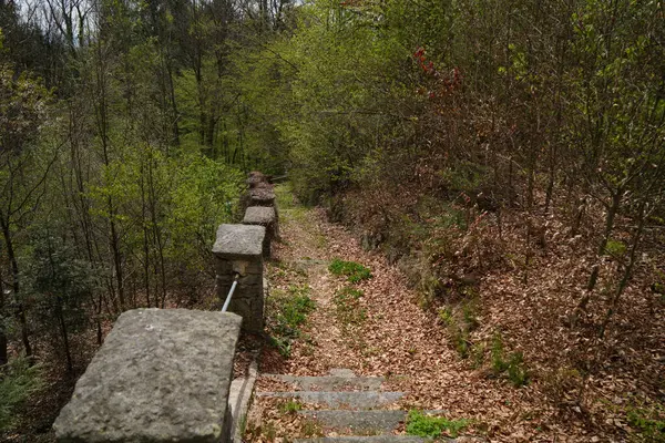 Parktaki taş yolun güzel manzarası.