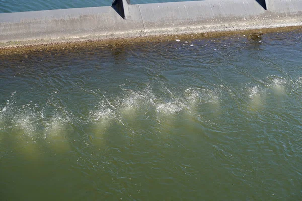 Sahilde su damlaları