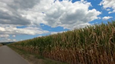 Dağlarda ve tarlalarda bulutlar ve gökyüzü
