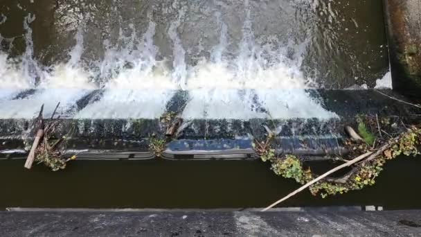 Вода Тече Фонтану Парку — стокове відео