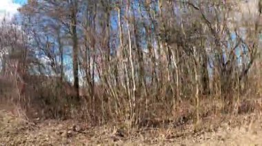 Yazın kırsalın güzel manzarası