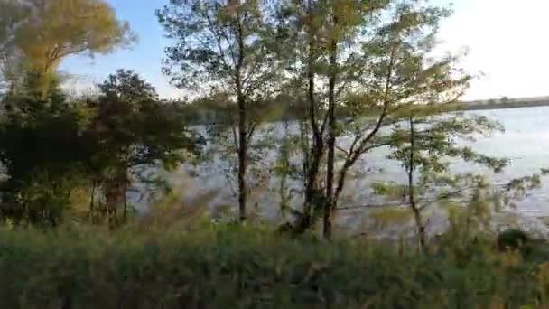 Danube Rivier Met Schoon Water Rustig Landschap — Stockvideo