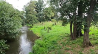 Parktaki nehrin güzel manzarası