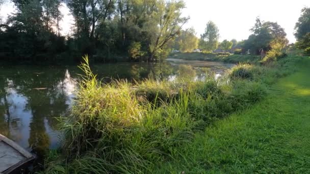 Hermosa Toma Del Río Danubio Baviera Cerca Ratisbona Día Soleado — Vídeo de stock