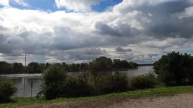 Sonbaharda akçaağaç yaprağı çürüyor.