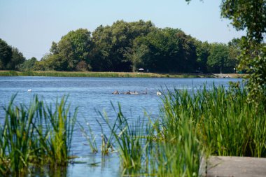 Güzel göl manzarası