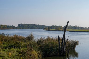 Arka planda nehir ve göl olan güzel bir manzara.