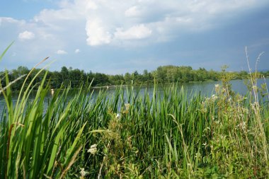 Arkasında bir göl olan güzel bir manzara.