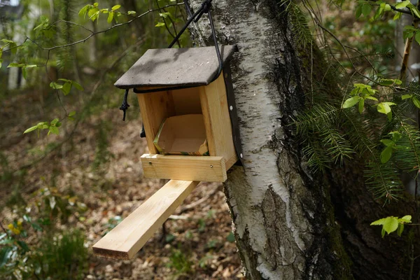 Alimentatore Uccelli Nel Parco — Foto Stock