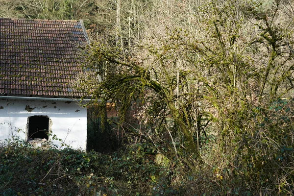 Altes Verlassenes Haus Der Stadt — Stockfoto