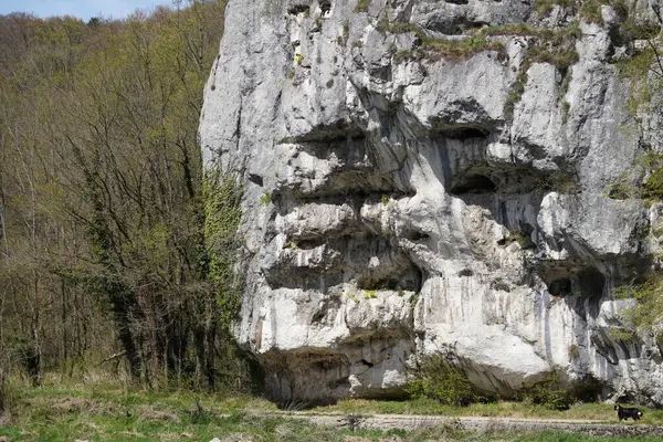 Formations Rocheuses Pierre Dans Les Montagnes — Photo